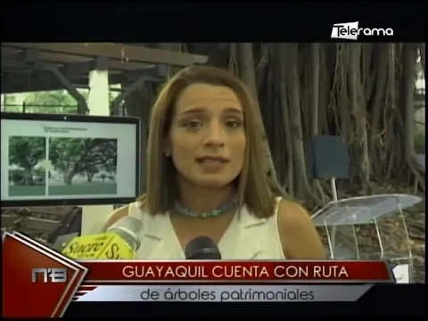 Guayaquil cuenta con ruta de árboles patrimoniales