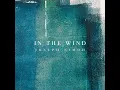 In The Wind