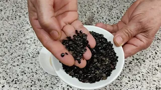 حتى لو كان عندك صغير تناول هذه الحبوب و هذا ماسيحدث