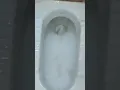 Download Lagu टॉयलेट सफाई । toilet deep cleaning full video in channel #youtube #shorts #shortsvideo