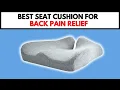 Is Cushion Labs Seat Cushion Really Worth It My Honest Review