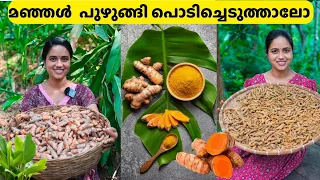 പൊതിച്ചോറും ഉണ്ടാക്കി മഞ്ഞൾ പറിക്കാൻ പറമ്പിൽ പോയാലോ.....