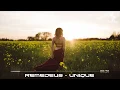 Lagu Remedeus - Unique