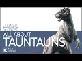 TAUNTAUNS Explained