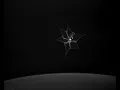 Video di RemDeb Net Experiment Raw Footage