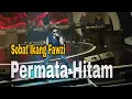 Download Lagu PERMATA HITAM DI MEMORI MELODI KLASIK ROCK TVRI