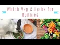 Which Veggies Herbs Can Bunnies Eat