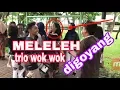 Download Lagu TRIO WOK WOK LEMAS DIGOYANG CEWE SEMUA MP3