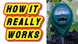 How Do Plant Moisture Meters Work A Simple Guide