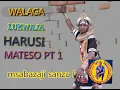 Download Lagu WALAGA LUKWAJA HARUSI KWA MATESO MBASHA STUDIO 2023