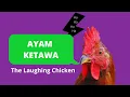 Lagu Ayam Ketawa (The Laughing Chicken) Clucking it up