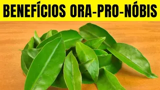7 Benefícios da ORA-PRO-NOBIS - Para Que Serve e Como Usar (Substitui a Carne? Emagrece?)
