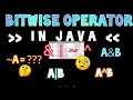 Bitwise Operator in Java