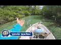 This Natural Wonder of Florida is a Must Visit Weeki Wachee Springs