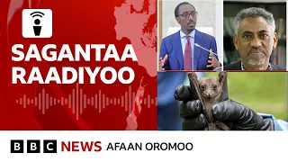 Ertiraan Mootummaa Itoophiyaaf Deebii Kennite BBC News Afaan Oromoo 