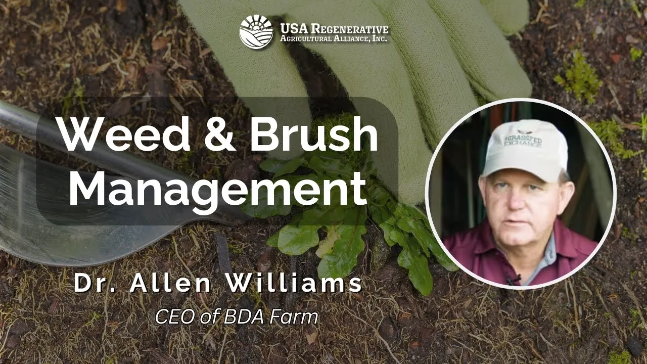 Sustainable yet Effective Ways for Weed & Brush Management