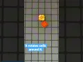 Gears Tutorial celLua