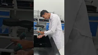 تسلم ايدك ست أميرة دندنها