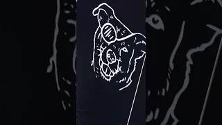 Cross the Gulf Stream with us ⛵️🌊  #savvynavvy