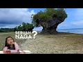 Download Lagu Viral !!! Ada Naga di Biak Papua