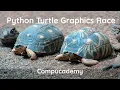 Python Turtle Graphics Turtle Race Program