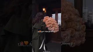 حالات واتس اب عن البنات ورد 