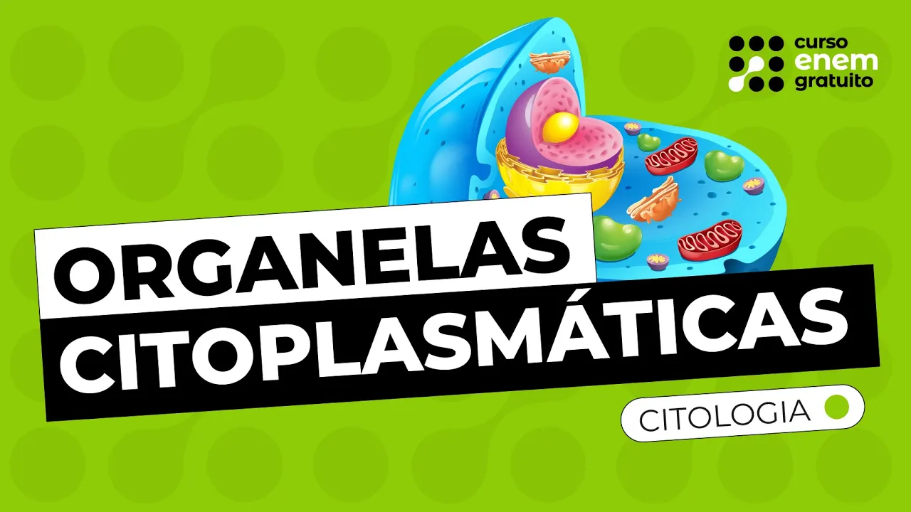 ORGANELAS CITOPLASMÁTICAS (CITOLOGIA) | Resumo de Biologia para o Enem
