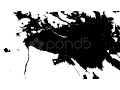 Paper Absorbs Ink Paint Sequence Stock Footage