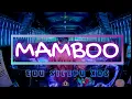 Download Lagu MAMBOO KANE JUNGLE DUTCH by DJ EDU SITEPU XDS