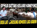 Download Lagu SIDAK AVIARY IRFAN HAKIM!! SEMUA HEWAN DIKELUARIN DARI KANDANG