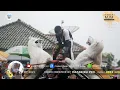 Download Lagu Ula Pucuk - Burok Mjm Live Cinagara 18-03-2021