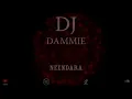 Download Lagu Neendara | Shazia Manzoor | House Remix 2025 | DJ Dammie