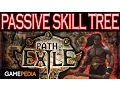 Path of Exile Passive Skills - Everything you need to know