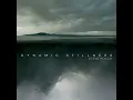 Birth of Still Places