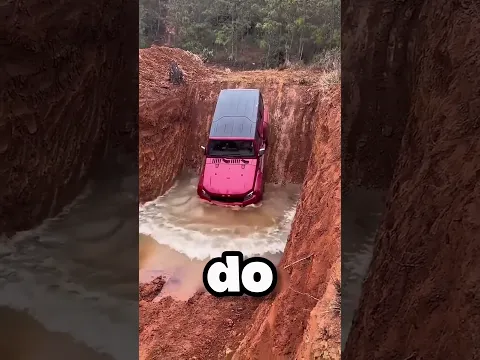 PAPAI JOGOU O CARRO NO BURACO!😱😭 #amazingnature #pets #bailarinafeliz