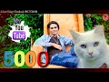 5000 Aslam Singer Deadwal 5000 See the consequences of rebelling against us