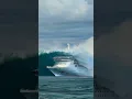 Download Lagu Cruise Ship Battling Enormous Waves! Completely Submerged in Water #scaryocean #cruise #ocean