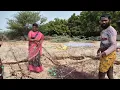 Download Lagu கடற்கரையில் பிடித்த பல்வேறு வகையான மீன்கள் பாருங்க மக்களே