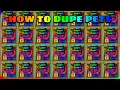 TUTORIAL HOW TO DUPE PETS IN MINING SIMULATOR 2