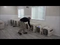 MJ (Havanese) Boot Camp Dog Training Video Demonstration