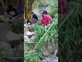 Download Lagu NYUWUN KESELAMATAN PADAMU YA AALLAH