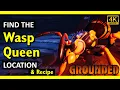Wasp Queen and Recipe Location Grounded 2025