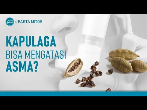 Benarkah Kapulaga Bisa Mengatasi Bronkitis Hingga Asma?