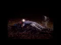 BRNS - Forest (Official Music Video)