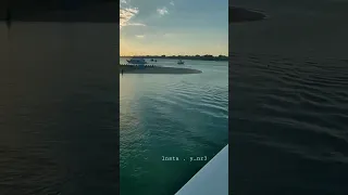 والله مايسوى اعيش الدنيا دونك 