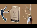 Best European Mount Skull Hanger - Top Rack Raging Bull