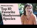Top 10 Favorite Mushroom Species DoubleBlind