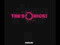 The Sonics  - Shotdown