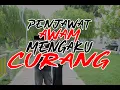 Download Lagu PENJAWAT AWAM \