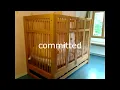 committed